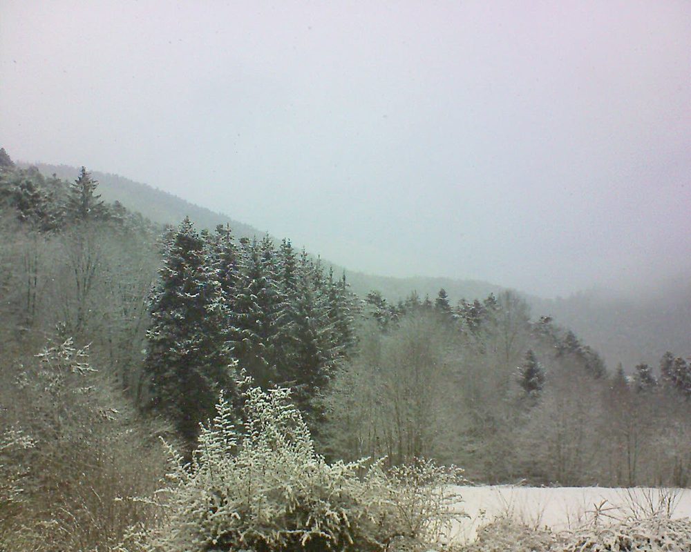 Le petit ballon vu depuis le Domaine Langmatt à Murbach le 08.02.2021 à 11:30 Le petit ballon (Alsace, Vosges) le 08.02.2021 à 11:30