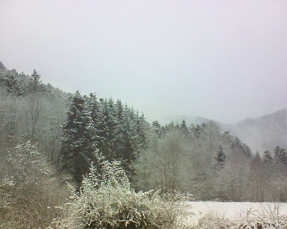 Le petit ballon vu depuis le Domaine Langmatt à Murbach le 08.02.2021 à 12:15 Le petit ballon (Alsace, Vosges) le 08.02.2021 à 12:15