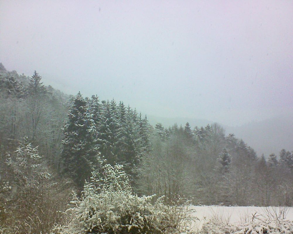 Le petit ballon vu depuis le Domaine Langmatt à Murbach le 08.02.2021 à 15:30 Le petit ballon (Alsace, Vosges) le 08.02.2021 à 15:30