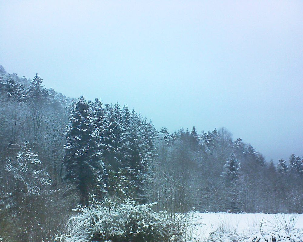 Le petit ballon vu depuis le Domaine Langmatt à Murbach le 09.02.2021 à 08:30 Le petit ballon (Alsace, Vosges) le 09.02.2021 à 08:30