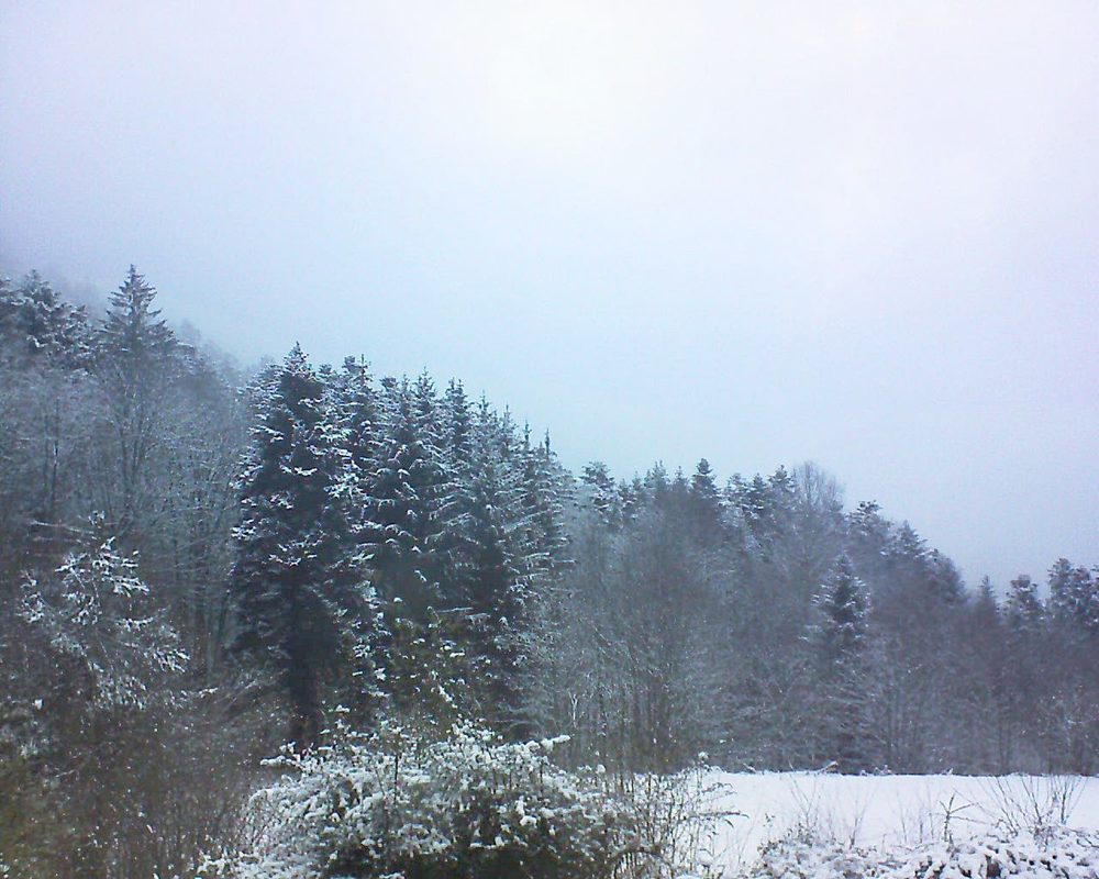 Le petit ballon vu depuis le Domaine Langmatt à Murbach le 09.02.2021 à 09:15 Le petit ballon (Alsace, Vosges) le 09.02.2021 à 09:15