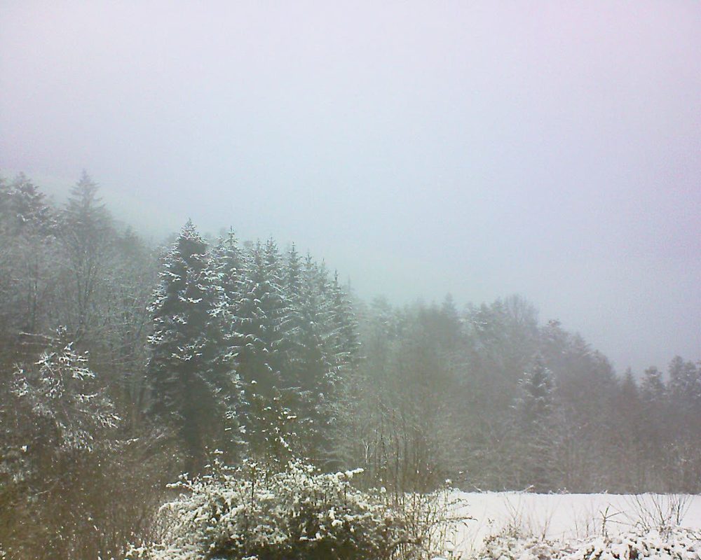 Le petit ballon vu depuis le Domaine Langmatt à Murbach le 09.02.2021 à 09:45 Le petit ballon (Alsace, Vosges) le 09.02.2021 à 09:45