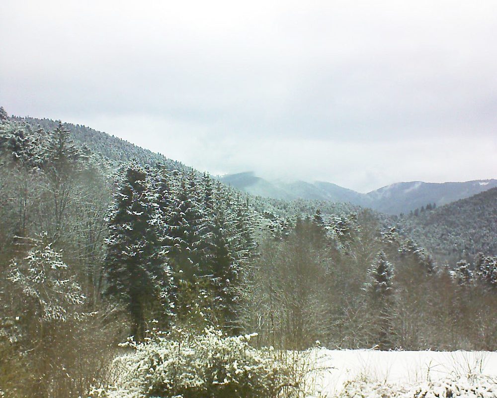 Le petit ballon vu depuis le Domaine Langmatt à Murbach le 09.02.2021 à 11:15 Le petit ballon (Alsace, Vosges) le 09.02.2021 à 11:15