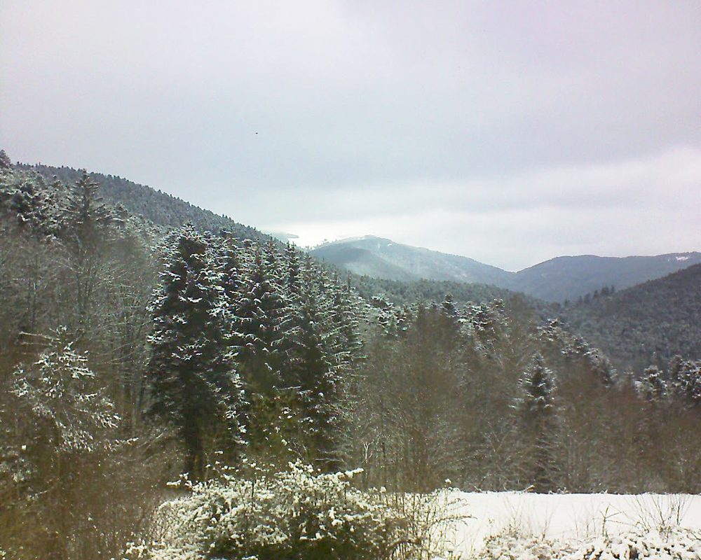 Le petit ballon vu depuis le Domaine Langmatt à Murbach le 09.02.2021 à 12:30 Le petit ballon (Alsace, Vosges) le 09.02.2021 à 12:30
