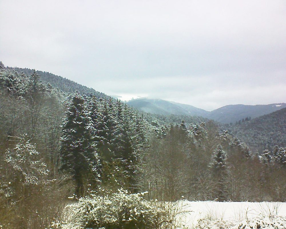 Le petit ballon vu depuis le Domaine Langmatt à Murbach le 09.02.2021 à 12:45 Le petit ballon (Alsace, Vosges) le 09.02.2021 à 12:45