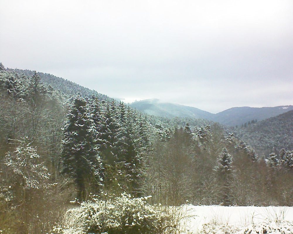 Le petit ballon vu depuis le Domaine Langmatt à Murbach le 09.02.2021 à 13:15 Le petit ballon (Alsace, Vosges) le 09.02.2021 à 13:15