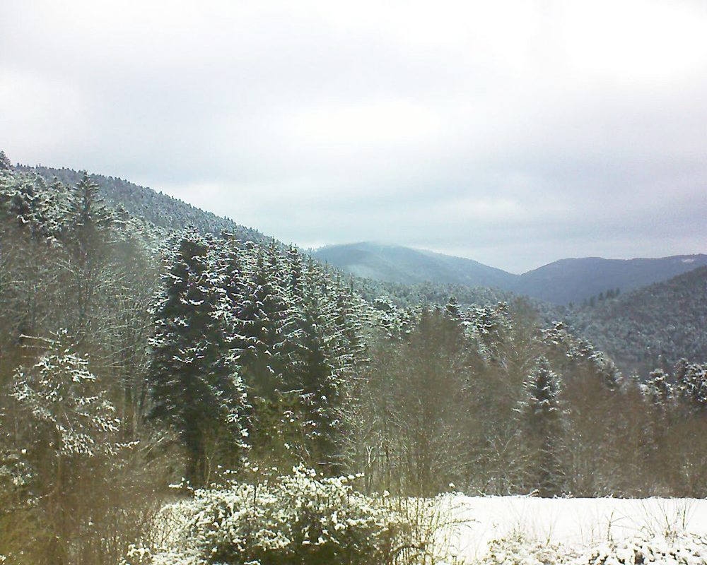 Le petit ballon vu depuis le Domaine Langmatt à Murbach le 09.02.2021 à 14:30 Le petit ballon (Alsace, Vosges) le 09.02.2021 à 14:30