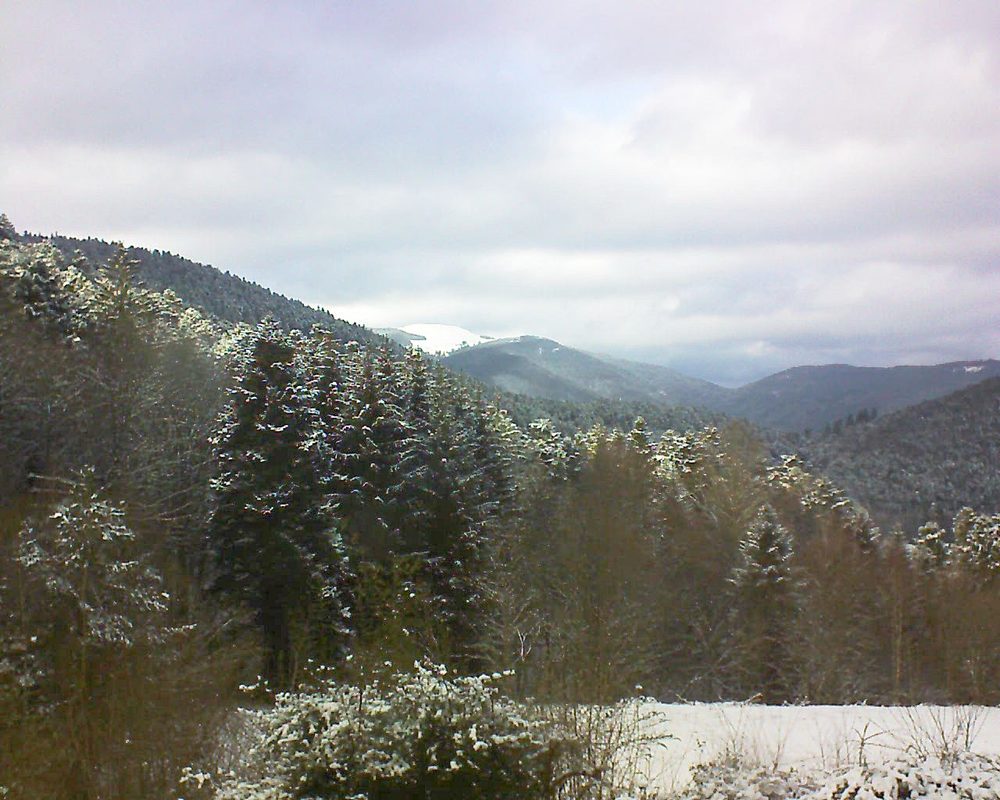 Le petit ballon vu depuis le Domaine Langmatt à Murbach le 09.02.2021 à 15:15 Le petit ballon (Alsace, Vosges) le 09.02.2021 à 15:15