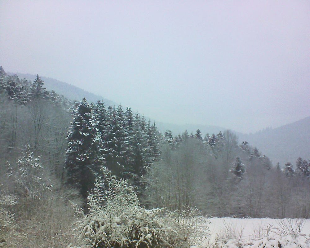 Le petit ballon vu depuis le Domaine Langmatt à Murbach le 10.02.2021 à 09:30 Le petit ballon (Alsace, Vosges) le 10.02.2021 à 09:30