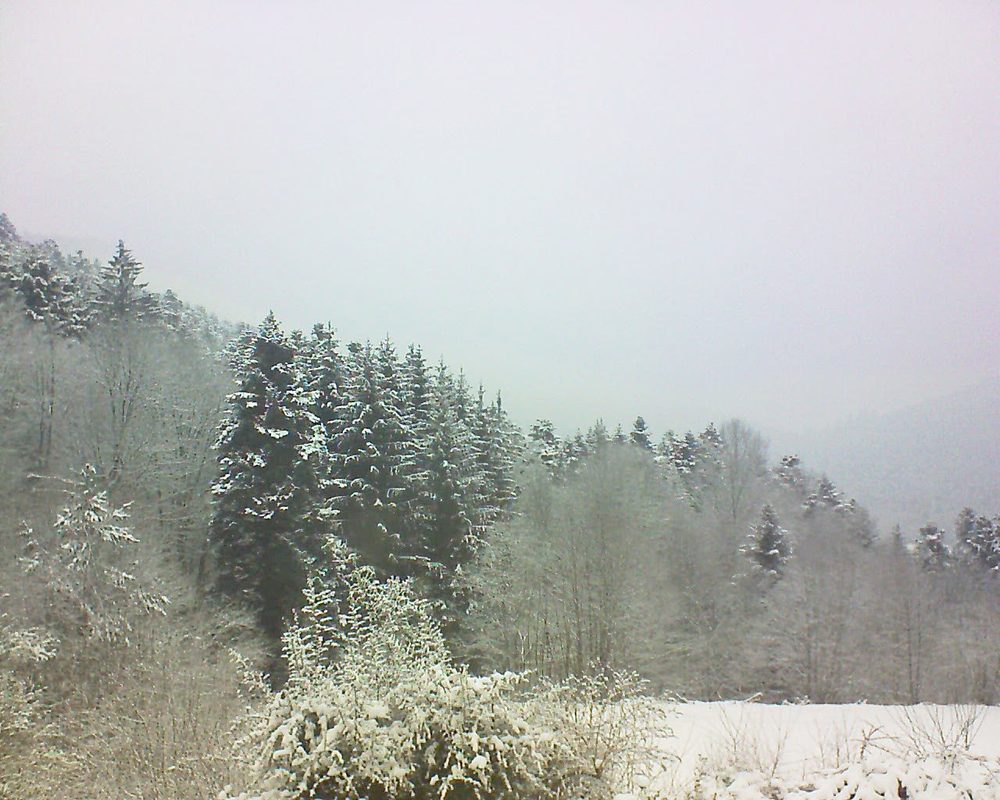 Le petit ballon vu depuis le Domaine Langmatt à Murbach le 10.02.2021 à 11:30 Le petit ballon (Alsace, Vosges) le 10.02.2021 à 11:30
