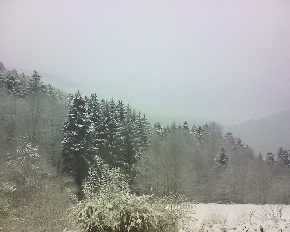Le petit ballon vu depuis le Domaine Langmatt à Murbach le 10.02.2021 à 12:15 Le petit ballon (Alsace, Vosges) le 10.02.2021 à 12:15