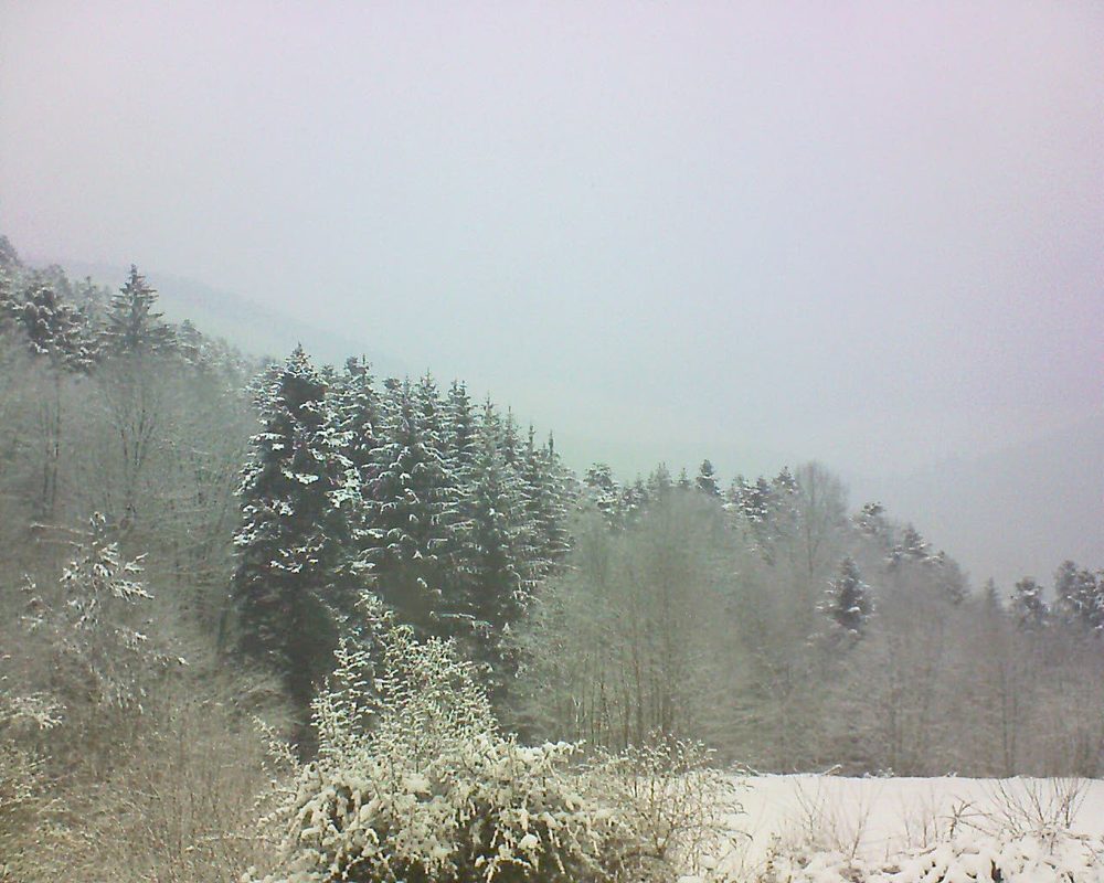 Le petit ballon vu depuis le Domaine Langmatt à Murbach le 10.02.2021 à 12:30 Le petit ballon (Alsace, Vosges) le 10.02.2021 à 12:30