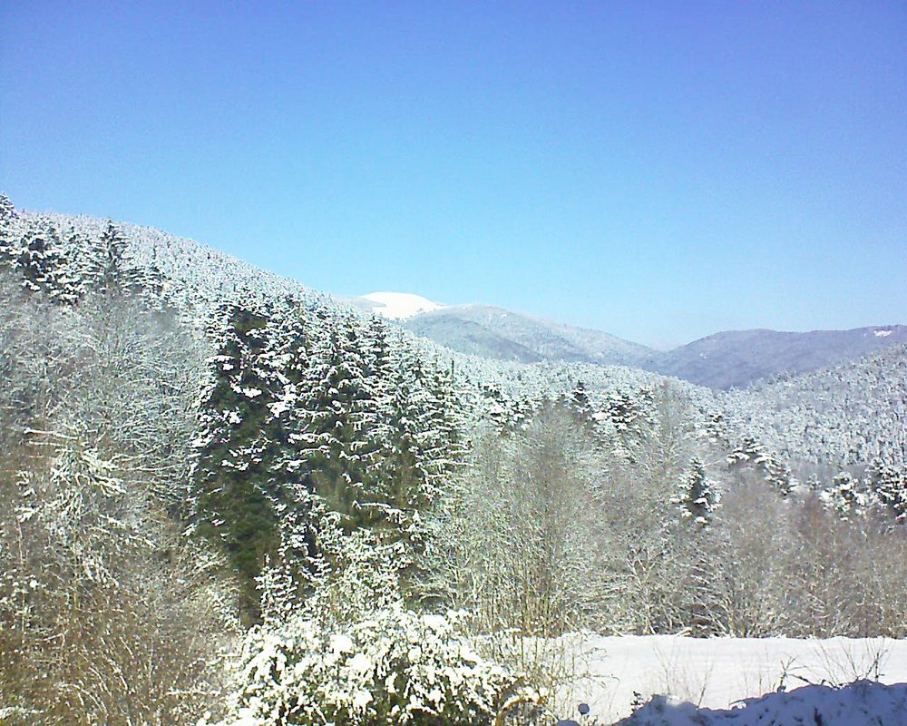 Le petit ballon vu depuis le Domaine Langmatt à Murbach le 11.02.2021 à 12:30 Le petit ballon (Alsace, Vosges) le 11.02.2021 à 12:30