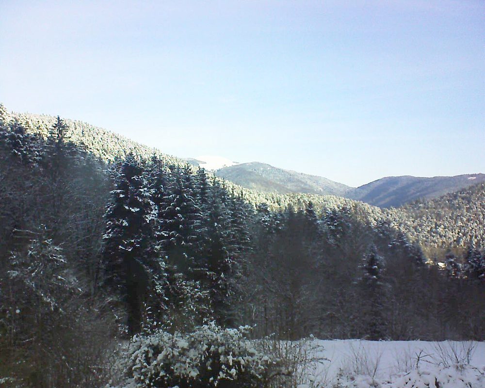 Le petit ballon vu depuis le Domaine Langmatt à Murbach le 12.02.2021 à 09:30 Le petit ballon (Alsace, Vosges) le 12.02.2021 à 09:30