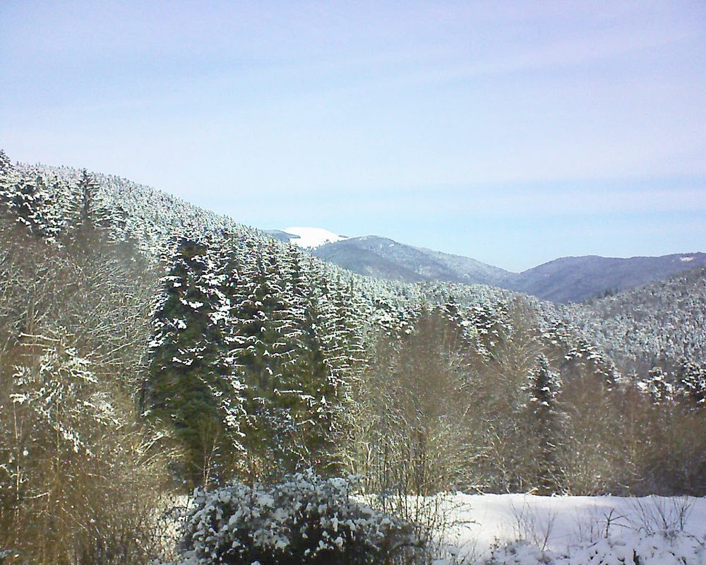 Le petit ballon vu depuis le Domaine Langmatt à Murbach le 12.02.2021 à 11:30 Le petit ballon (Alsace, Vosges) le 12.02.2021 à 11:30