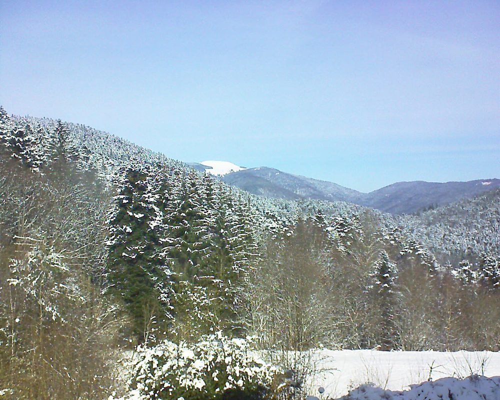 Le petit ballon vu depuis le Domaine Langmatt à Murbach le 12.02.2021 à 12:15 Le petit ballon (Alsace, Vosges) le 12.02.2021 à 12:15