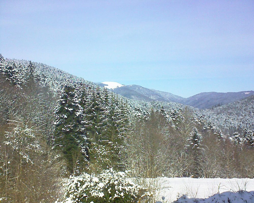 Le petit ballon vu depuis le Domaine Langmatt à Murbach le 12.02.2021 à 12:30 Le petit ballon (Alsace, Vosges) le 12.02.2021 à 12:30