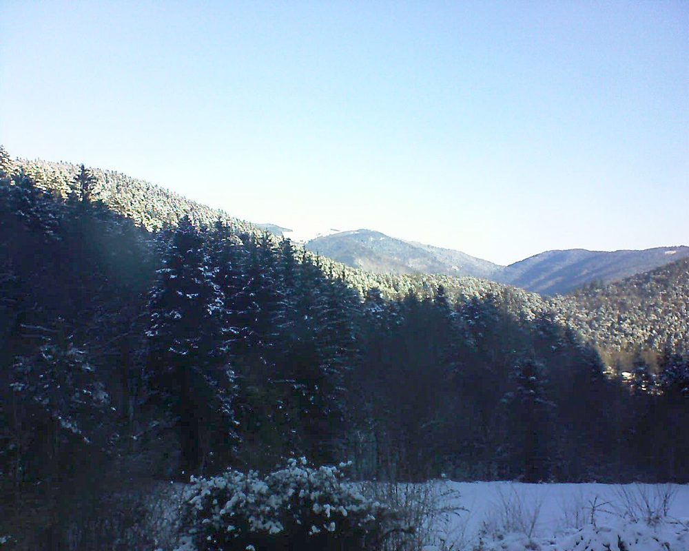 Le petit ballon vu depuis le Domaine Langmatt à Murbach le 13.02.2021 à 09:30 Le petit ballon (Alsace, Vosges) le 13.02.2021 à 09:30