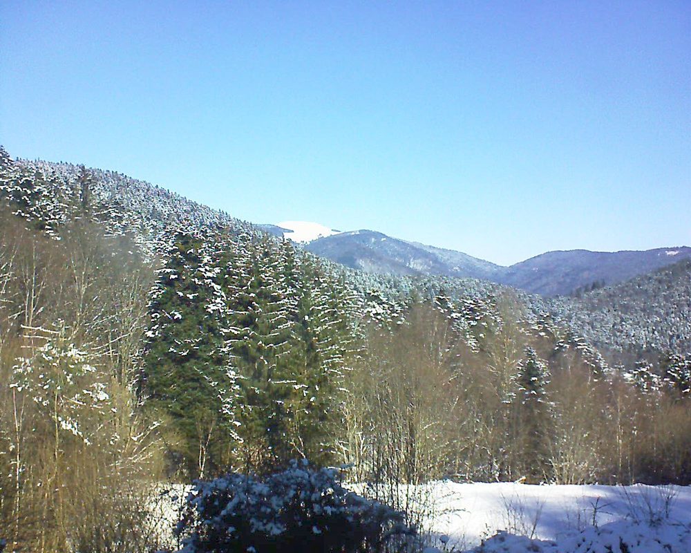 Le petit ballon vu depuis le Domaine Langmatt à Murbach le 13.02.2021 à 11:30 Le petit ballon (Alsace, Vosges) le 13.02.2021 à 11:30