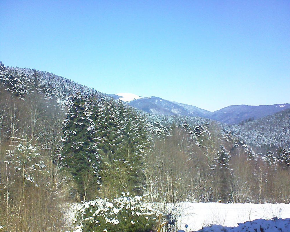 Le petit ballon vu depuis le Domaine Langmatt à Murbach le 13.02.2021 à 12:15 Le petit ballon (Alsace, Vosges) le 13.02.2021 à 12:15