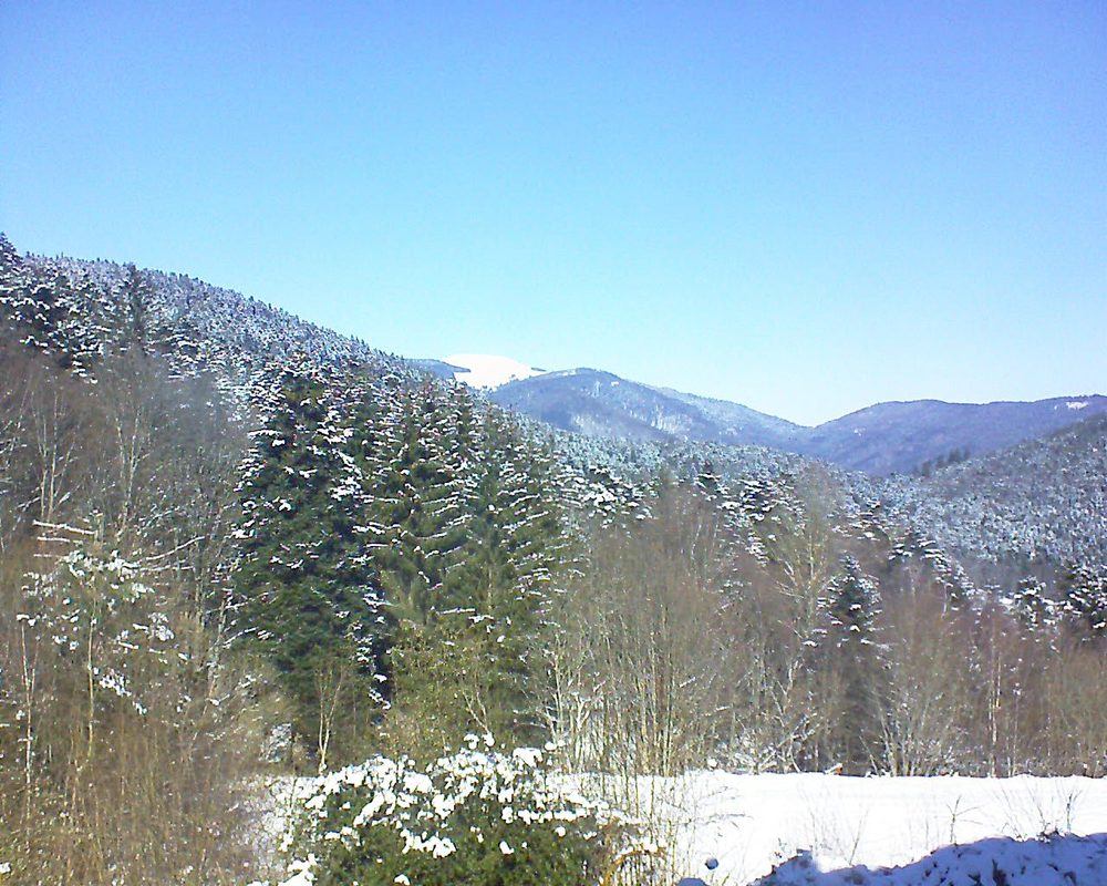 Le petit ballon vu depuis le Domaine Langmatt à Murbach le 13.02.2021 à 12:30 Le petit ballon (Alsace, Vosges) le 13.02.2021 à 12:30
