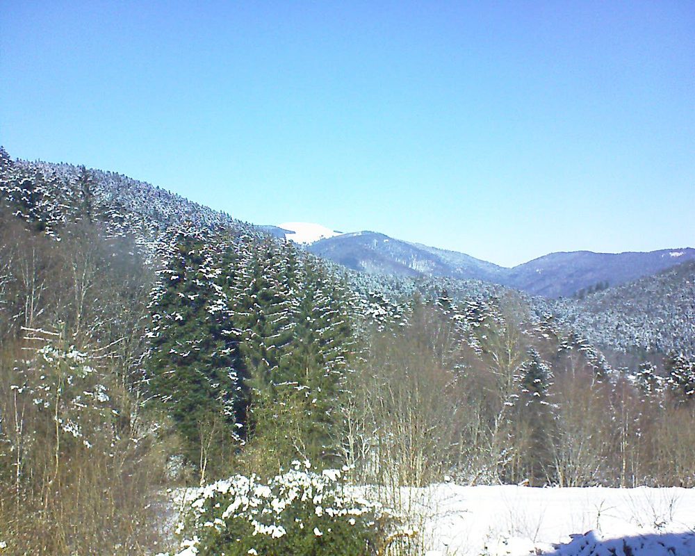 Le petit ballon vu depuis le Domaine Langmatt à Murbach le 13.02.2021 à 12:45 Le petit ballon (Alsace, Vosges) le 13.02.2021 à 12:45