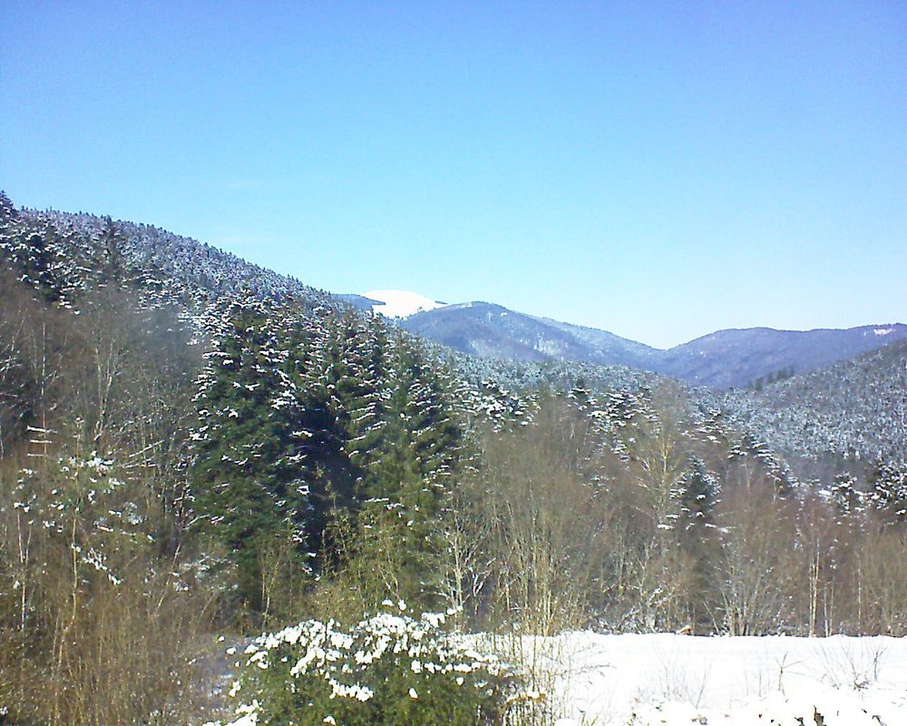 Le petit ballon vu depuis le Domaine Langmatt à Murbach le 13.02.2021 à 13:30 Le petit ballon (Alsace, Vosges) le 13.02.2021 à 13:30