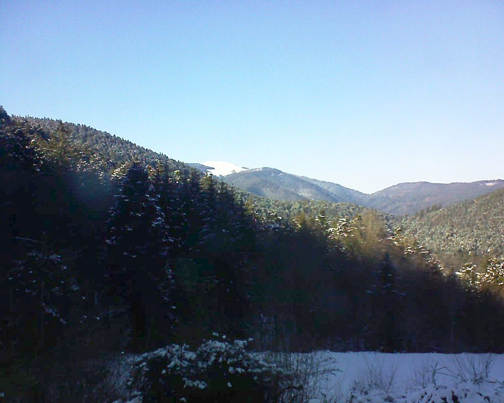 Le petit ballon vu depuis le Domaine Langmatt à Murbach le 13.02.2021 à 15:30 Le petit ballon (Alsace, Vosges) le 13.02.2021 à 15:30