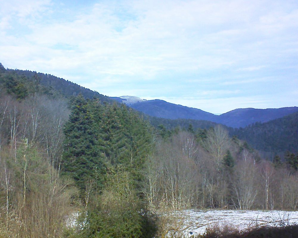 Le petit ballon vu depuis le Domaine Langmatt à Murbach le 16.02.2021 à 12:00 Le petit ballon (Alsace, Vosges) le 16.02.2021 à 12:00