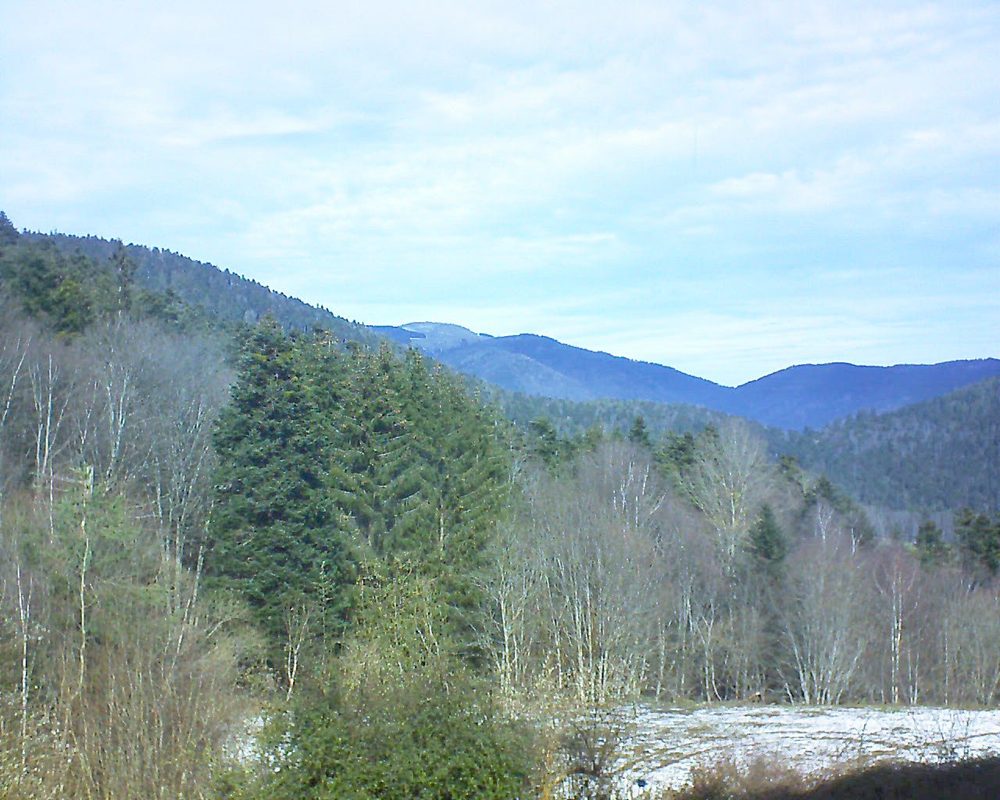 Le petit ballon vu depuis le Domaine Langmatt à Murbach le 16.02.2021 à 12:15 Le petit ballon (Alsace, Vosges) le 16.02.2021 à 12:15