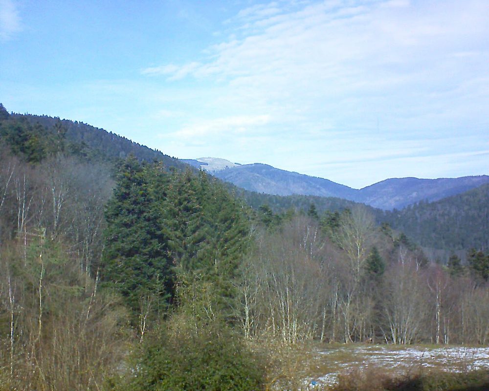 Le petit ballon vu depuis le Domaine Langmatt à Murbach le 16.02.2021 à 12:45 Le petit ballon (Alsace, Vosges) le 16.02.2021 à 12:45