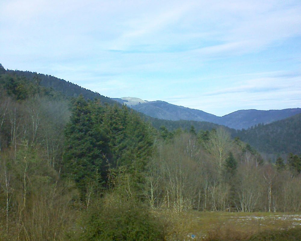 Le petit ballon vu depuis le Domaine Langmatt à Murbach le 16.02.2021 à 13:15 Le petit ballon (Alsace, Vosges) le 16.02.2021 à 13:15