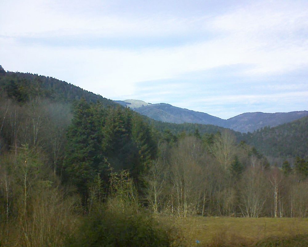 Le petit ballon vu depuis le Domaine Langmatt à Murbach le 16.02.2021 à 14:30 Le petit ballon (Alsace, Vosges) le 16.02.2021 à 14:30
