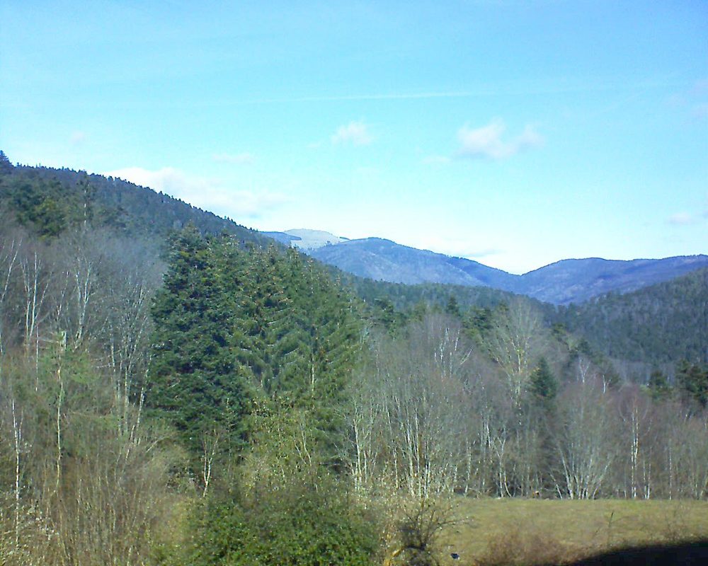 Le petit ballon vu depuis le Domaine Langmatt à Murbach le 17.02.2021 à 12:15 Le petit ballon (Alsace, Vosges) le 17.02.2021 à 12:15