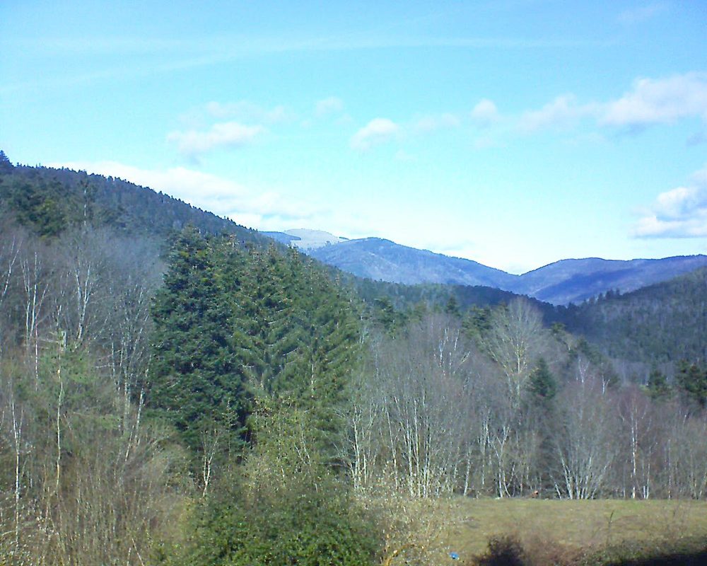 Le petit ballon vu depuis le Domaine Langmatt à Murbach le 17.02.2021 à 12:30 Le petit ballon (Alsace, Vosges) le 17.02.2021 à 12:30
