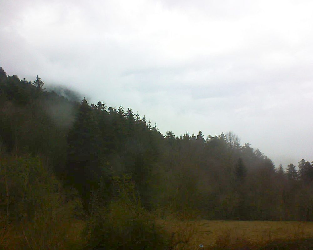 Le petit ballon vu depuis le Domaine Langmatt à Murbach le 19.02.2021 à 12:15 Le petit ballon (Alsace, Vosges) le 19.02.2021 à 12:15