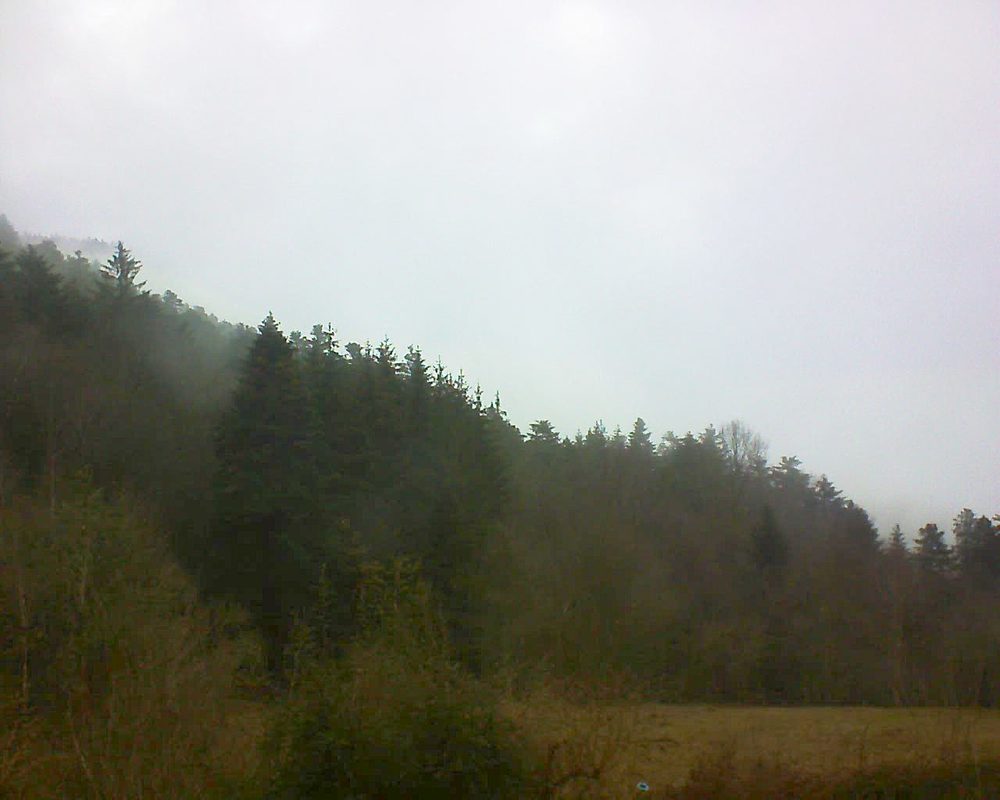 Le petit ballon vu depuis le Domaine Langmatt à Murbach le 19.02.2021 à 12:30 Le petit ballon (Alsace, Vosges) le 19.02.2021 à 12:30