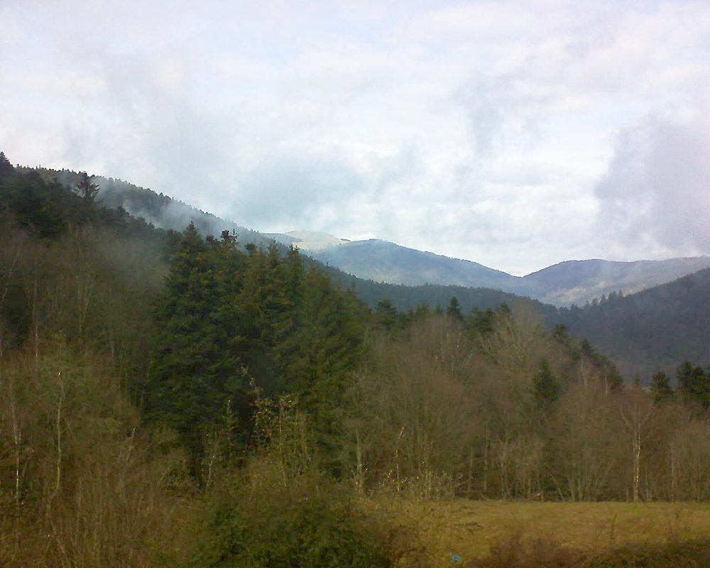Le petit ballon vu depuis le Domaine Langmatt à Murbach le 19.02.2021 à 13:30 Le petit ballon (Alsace, Vosges) le 19.02.2021 à 13:30