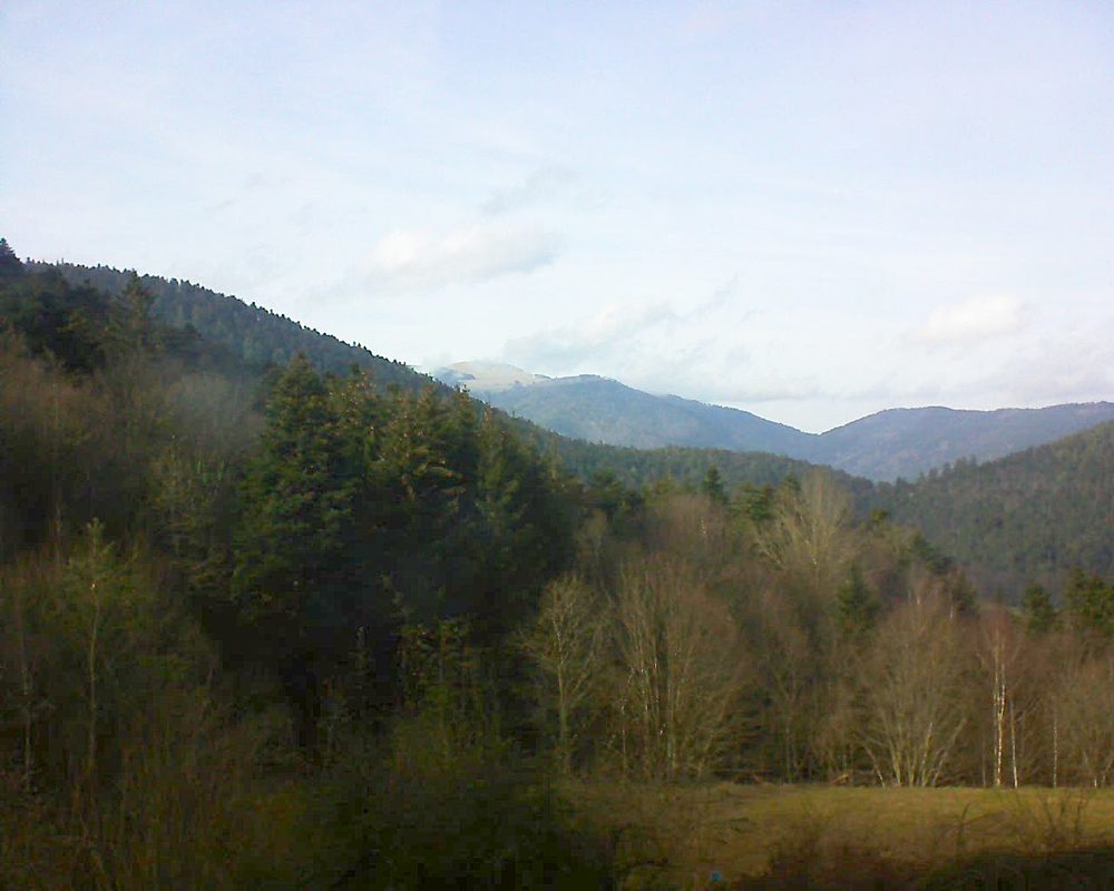 Le petit ballon vu depuis le Domaine Langmatt à Murbach le 19.02.2021 à 15:30 Le petit ballon (Alsace, Vosges) le 19.02.2021 à 15:30