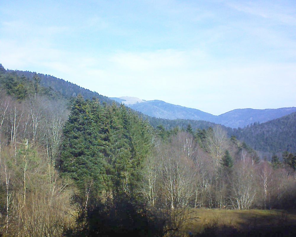Le petit ballon vu depuis le Domaine Langmatt à Murbach le 20.02.2021 à 11:15 Le petit ballon (Alsace, Vosges) le 20.02.2021 à 11:15