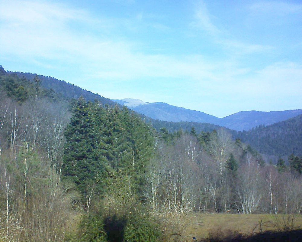 Le petit ballon vu depuis le Domaine Langmatt à Murbach le 20.02.2021 à 11:45 Le petit ballon (Alsace, Vosges) le 20.02.2021 à 11:45