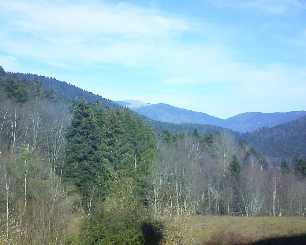 Le petit ballon vu depuis le Domaine Langmatt à Murbach le 20.02.2021 à 12:00 Le petit ballon (Alsace, Vosges) le 20.02.2021 à 12:00