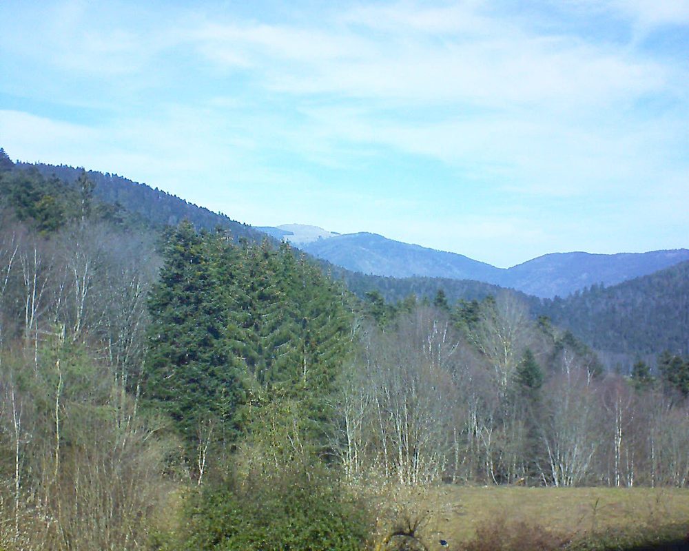 Le petit ballon vu depuis le Domaine Langmatt à Murbach le 20.02.2021 à 12:15 Le petit ballon (Alsace, Vosges) le 20.02.2021 à 12:15