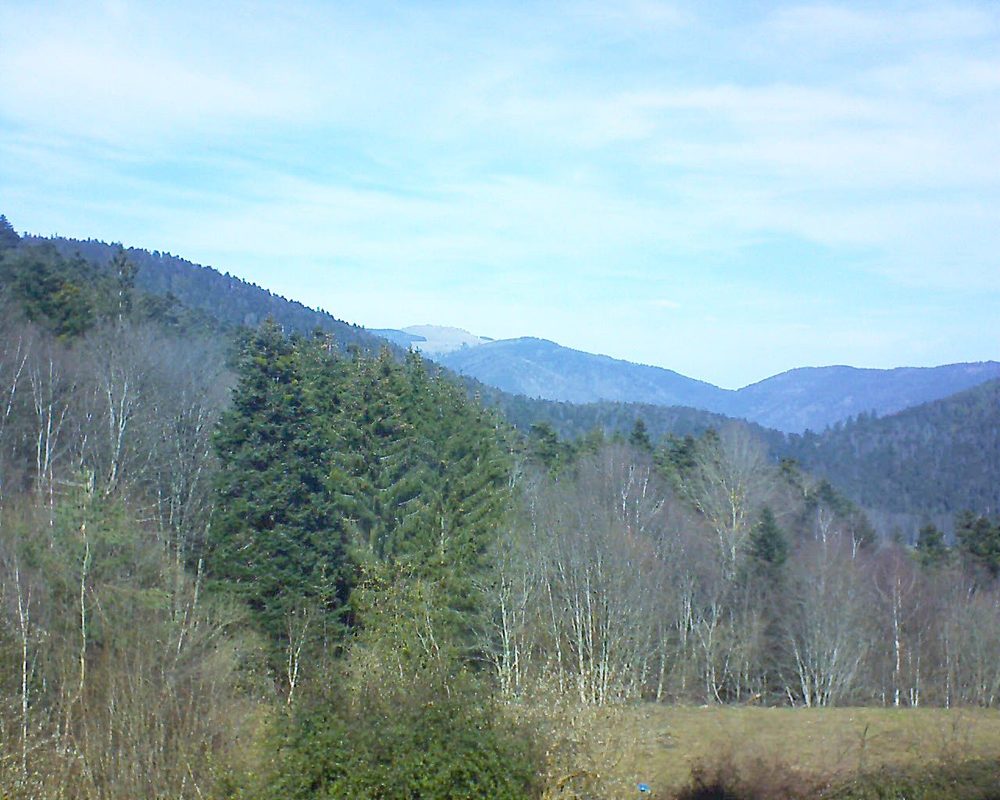 Le petit ballon vu depuis le Domaine Langmatt à Murbach le 20.02.2021 à 12:30 Le petit ballon (Alsace, Vosges) le 20.02.2021 à 12:30