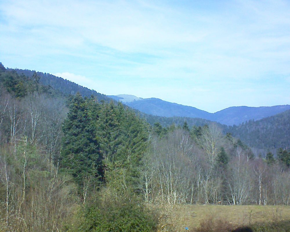 Le petit ballon vu depuis le Domaine Langmatt à Murbach le 20.02.2021 à 12:45 Le petit ballon (Alsace, Vosges) le 20.02.2021 à 12:45