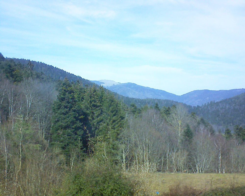 Le petit ballon vu depuis le Domaine Langmatt à Murbach le 20.02.2021 à 13:15 Le petit ballon (Alsace, Vosges) le 20.02.2021 à 13:15
