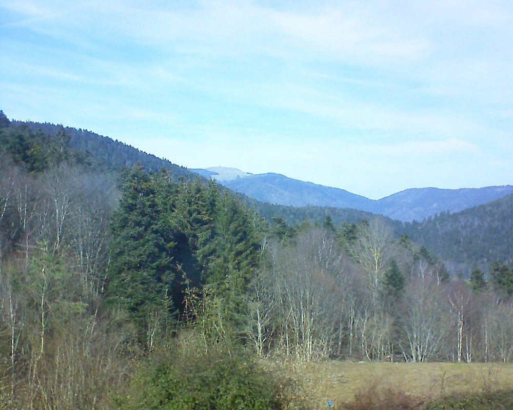 Le petit ballon vu depuis le Domaine Langmatt à Murbach le 20.02.2021 à 13:30 Le petit ballon (Alsace, Vosges) le 20.02.2021 à 13:30