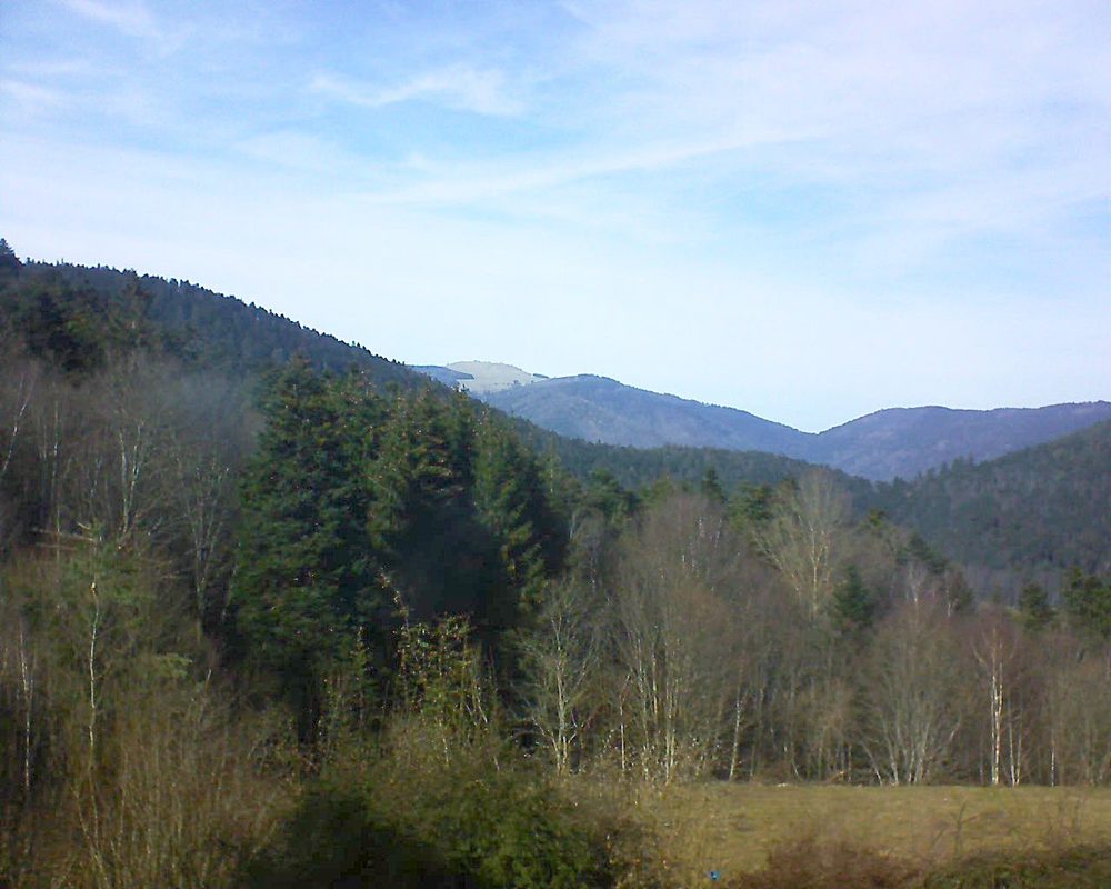 Le petit ballon vu depuis le Domaine Langmatt à Murbach le 20.02.2021 à 14:30 Le petit ballon (Alsace, Vosges) le 20.02.2021 à 14:30