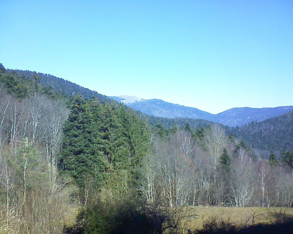 Le petit ballon vu depuis le Domaine Langmatt à Murbach le 21.02.2021 à 11:30 Le petit ballon (Alsace, Vosges) le 21.02.2021 à 11:30