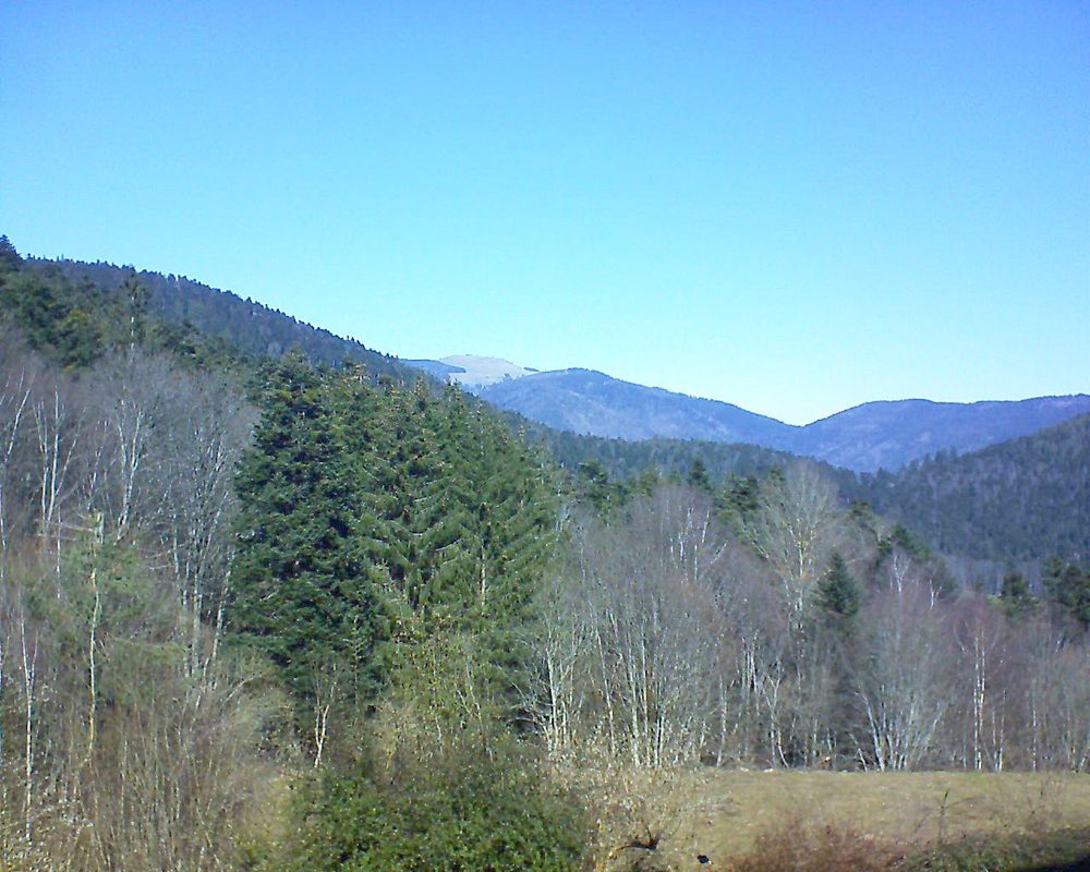 Le petit ballon vu depuis le Domaine Langmatt à Murbach le 21.02.2021 à 12:15 Le petit ballon (Alsace, Vosges) le 21.02.2021 à 12:15